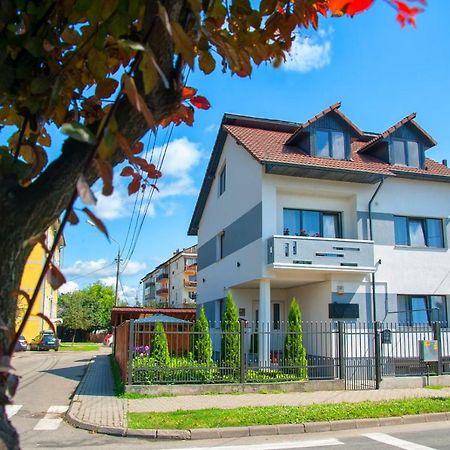 Vila Roza Sighetu Marmaţiei Extérieur photo
