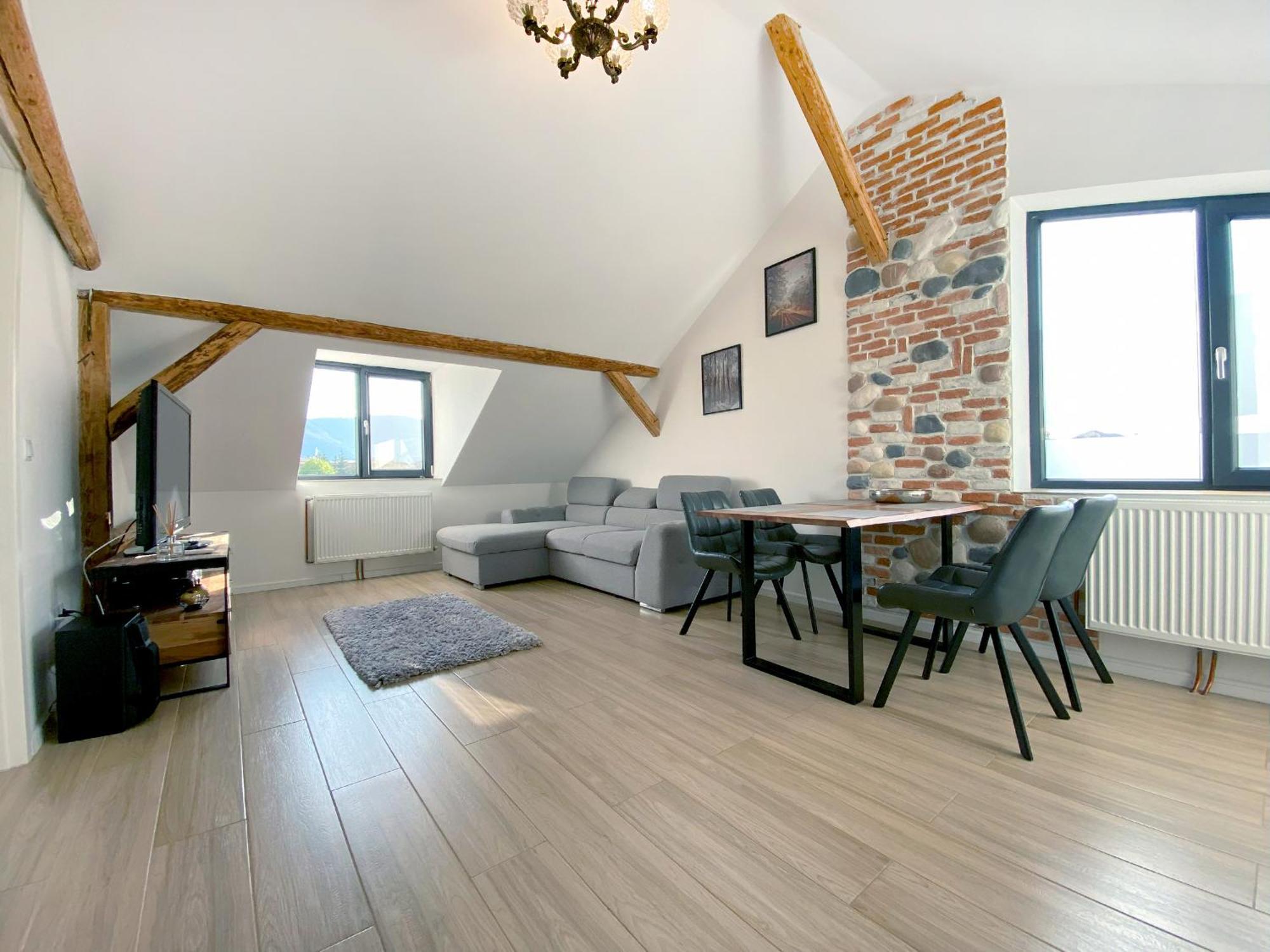 Vila Roza Sighetu Marmaţiei Extérieur photo
