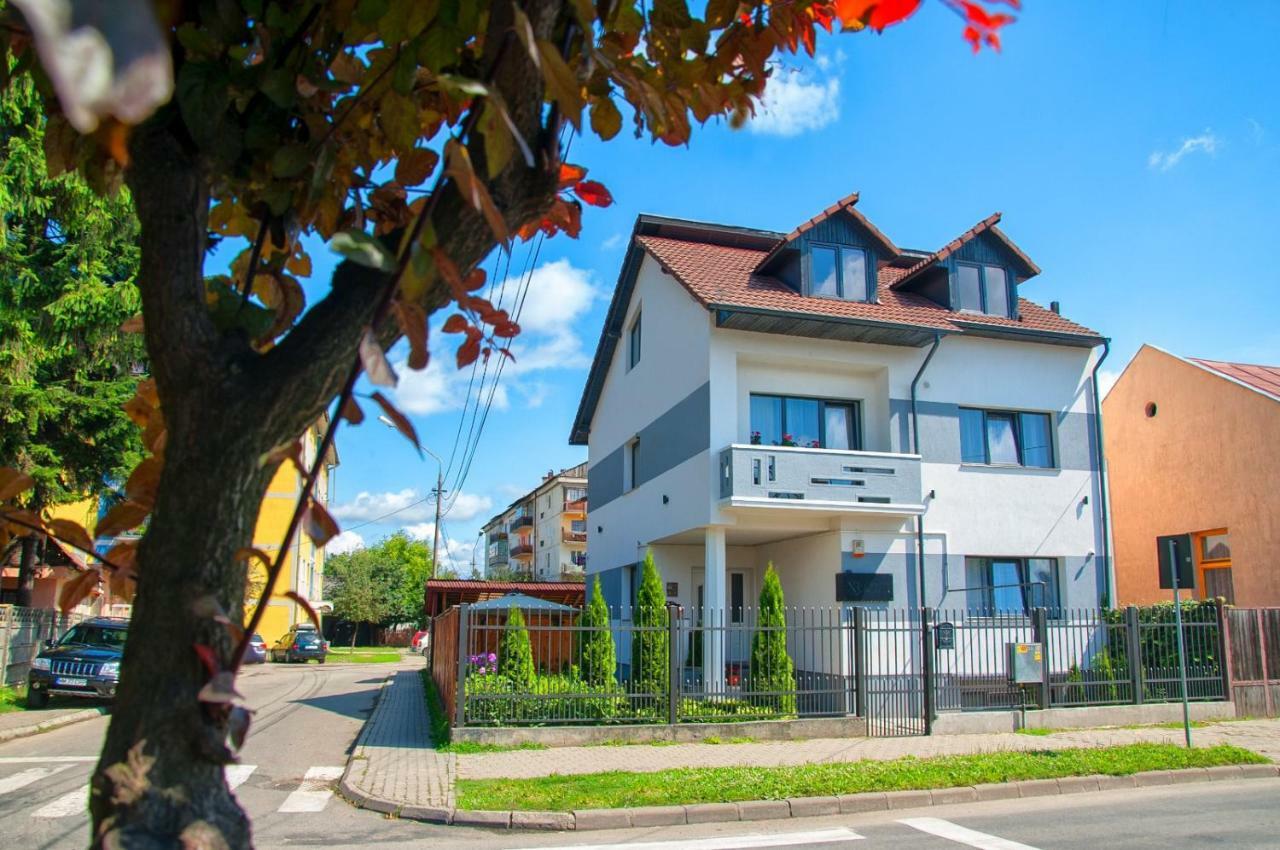 Vila Roza Sighetu Marmaţiei Extérieur photo
